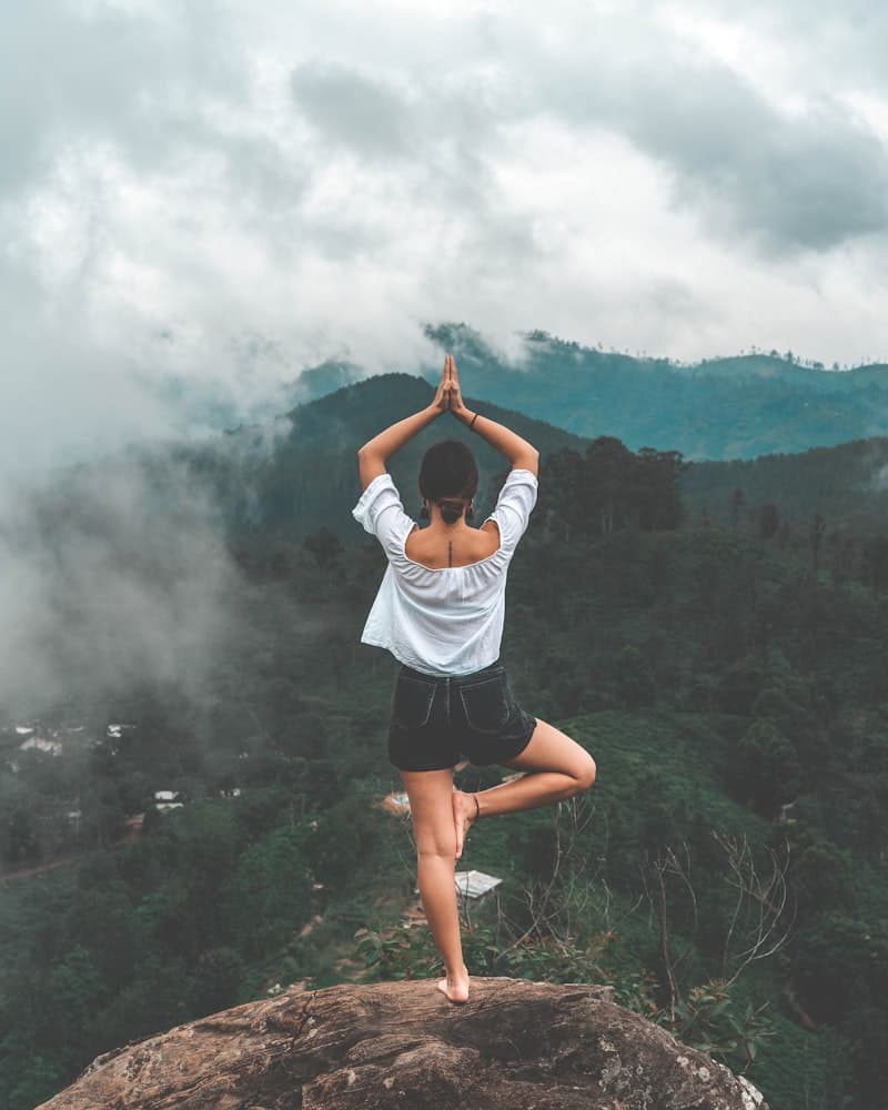 La psychologie energetique: quand la sagesse ancienne recontre la science moderne