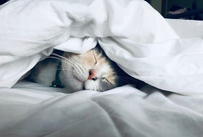 Comment utiliser le tapotement EFT pour mieux dormir